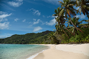 A palm beach, symbolic of Thomas Kreindl's destination Seychelles - n c ag