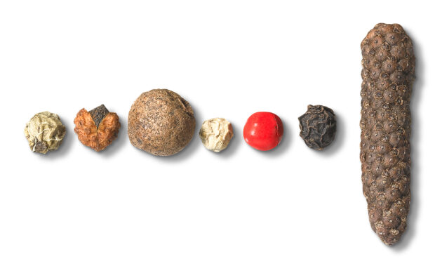 Isolated image with grains of different types of pepper, symbolic of photography - n c ag