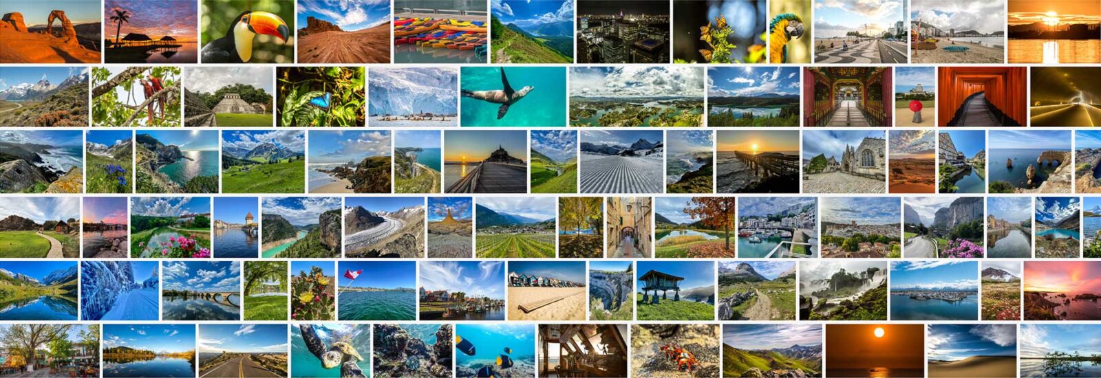 A new generation of Digital Asset Management